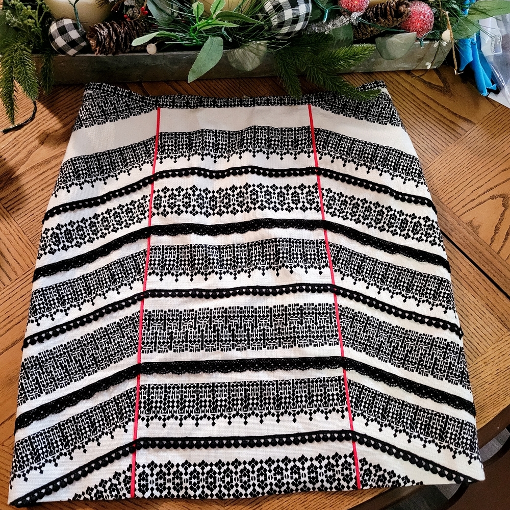Anthropologie  tabitha skirt